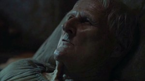 vlcsnap-2015-05-26-22h56m20s786_edited