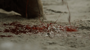 vlcsnap-2015-05-26-23h05m55s419