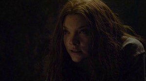 vlcsnap-2015-05-26-23h10m43s247_edited