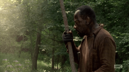 vlcsnap-2015-11-04-14h29m20s577