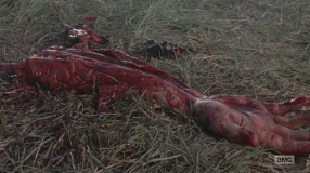 vlcsnap-2017-11-21-19h05m55s194