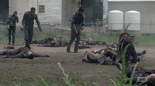 vlcsnap-2017-11-21-19h08m19s869