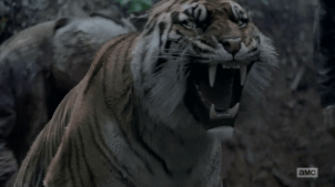 vlcsnap-2017-11-21-20h02m48s095