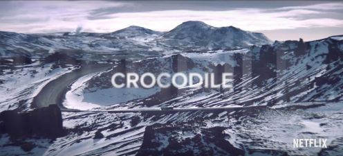Crocodile03