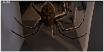 Screen Shot 11-07-18 at 04.29 PM 002