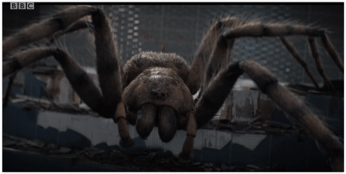 Doctor Who: Season 11, Episode 4 – Arachnids in the&nbsp;UK