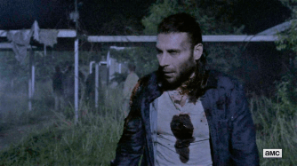 vlcsnap-2018-11-09-14h36m28s448 (2)