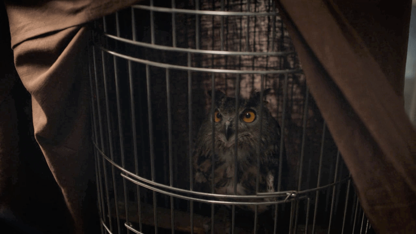 vlcsnap-2019-11-13-16h22m18s403 (2)